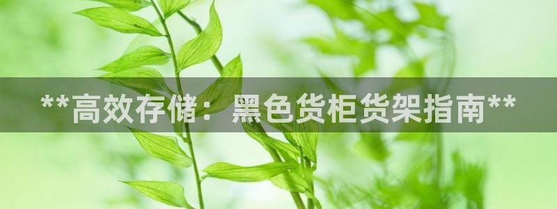 杏运体育官方网址