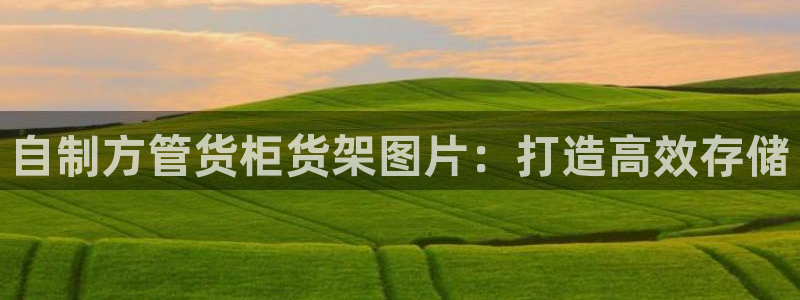 杏运体育官方网址
