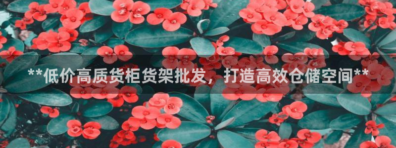 杏运体育官方网址登录