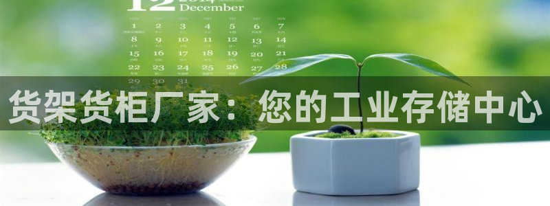 杏运新能源