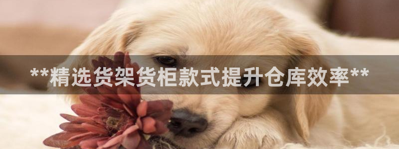 杏运相伴