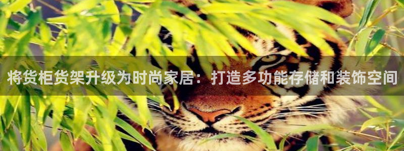 杏运平台注册