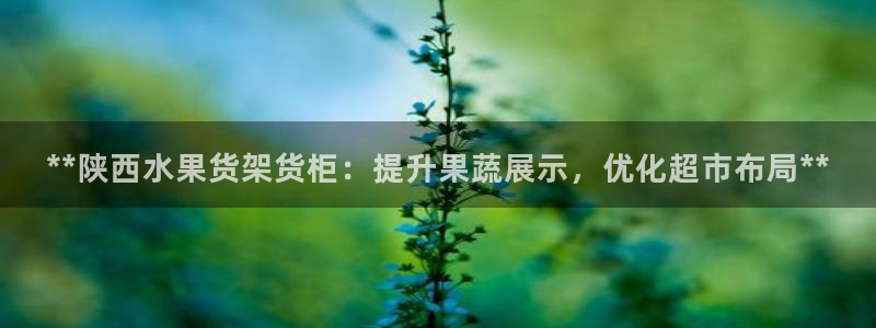 杏运娱乐