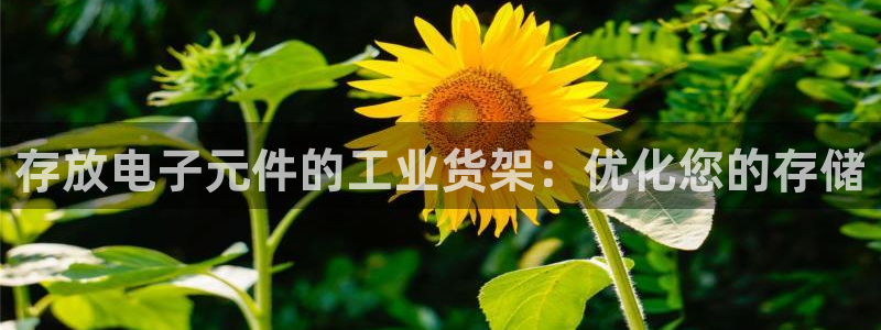 杏运体育网