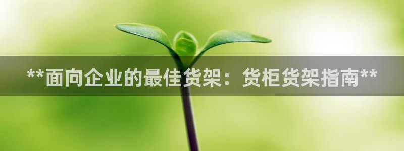 杏运代理