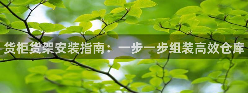 杏运汽车招商