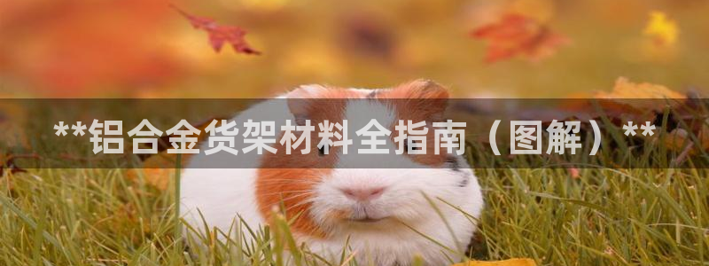 杏运体育