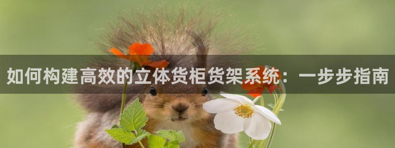 杏运体育官方网址