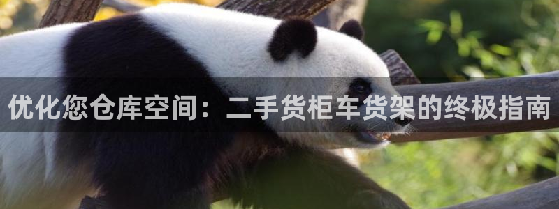 杏运新能源