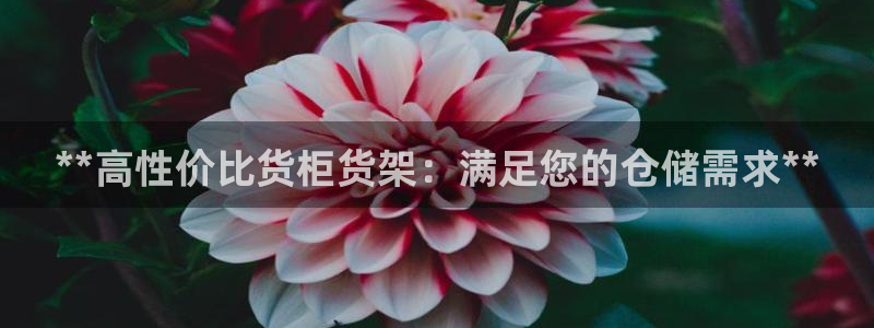 杏运体育平台