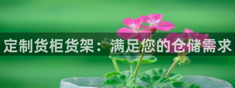 杏运注册平台