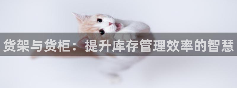杏运体育官方网址