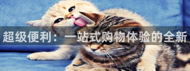 杏运体育平台正规吗安全吗