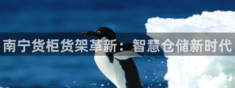 杏运代理