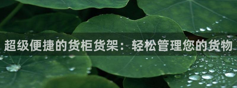 杏运体育app下载安装：超级便捷的货柜货