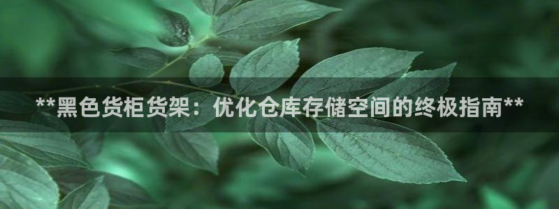 杏运娱乐：**黑色货柜货架：优化仓库存储