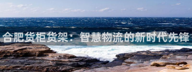 杏运注册登录地址：合肥货柜货架：智慧物流