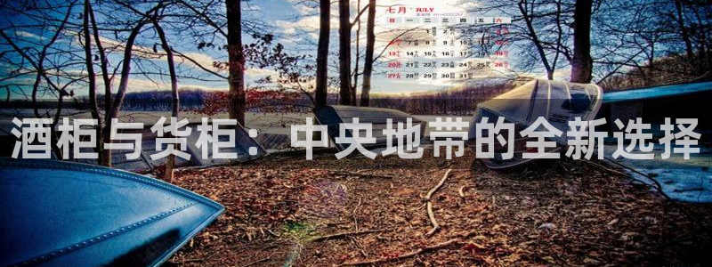 杏运体育官方网址登录：酒柜与货柜：中央地