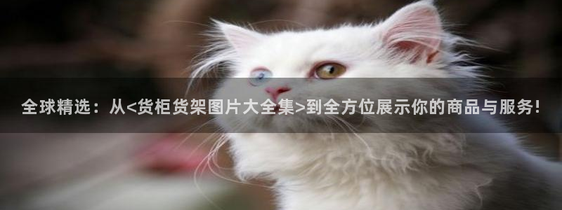 杏运代理