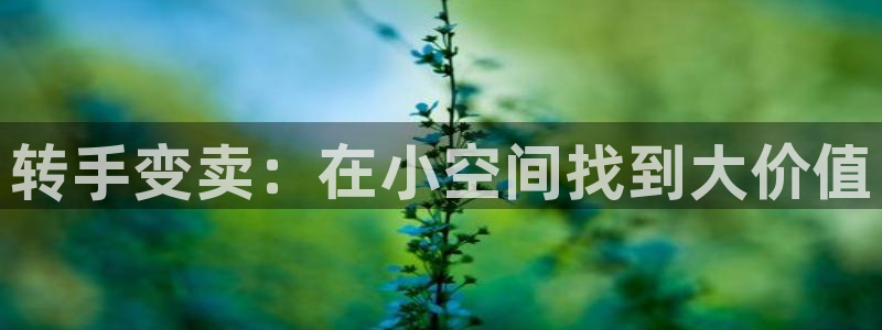 杏运登录