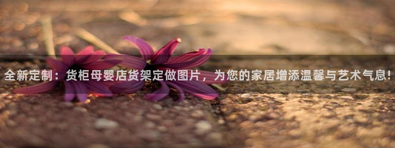 杏运注册登录地址：全新定制：货柜母婴店货