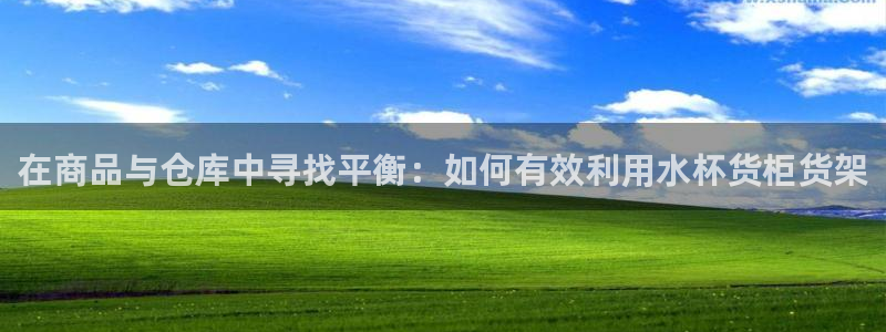 杏运体育娱乐：在商品与仓库中寻找平衡：如