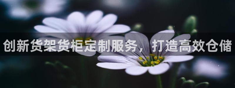 杏运体育官方网址登录
