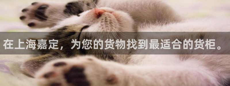 杏运体育注册