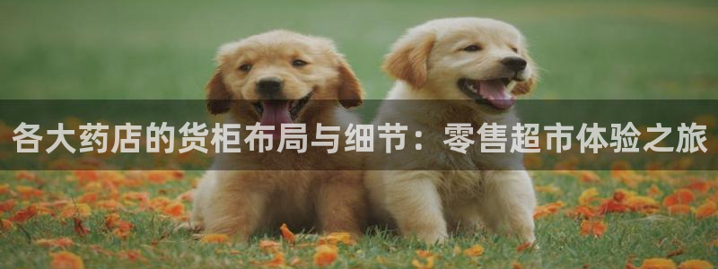 杏运娱乐平台注册地址