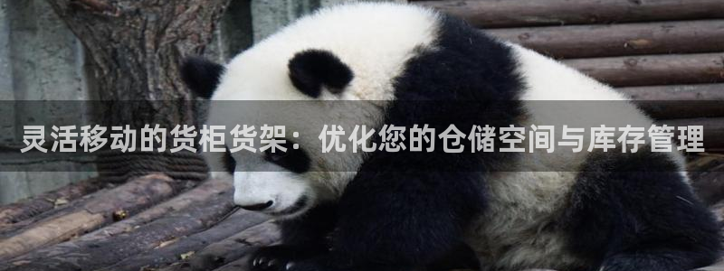 杏运平台注册登录：灵活移动的货柜货架：优