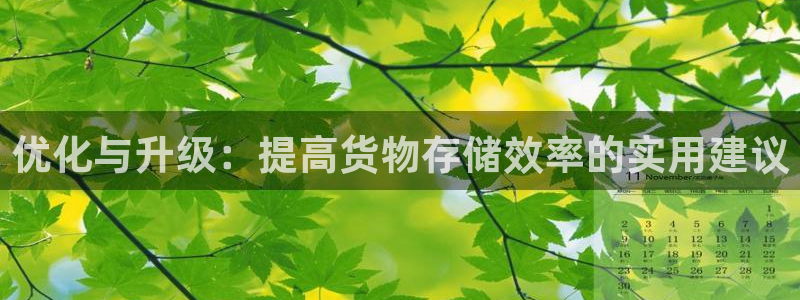 杏运平台登陆：优化与升级：提高货物存储效