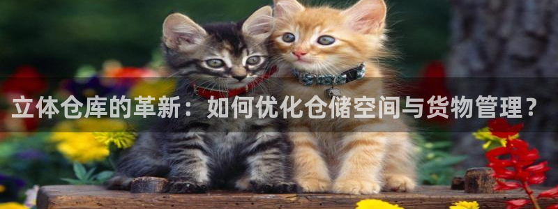 杏运平台官方网站：立体仓库的革新：如何优