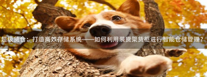 杏运体育平台正规吗安全吗可信吗