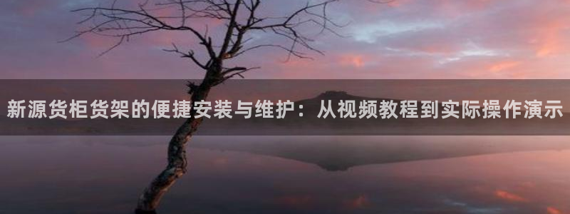 杏运相伴