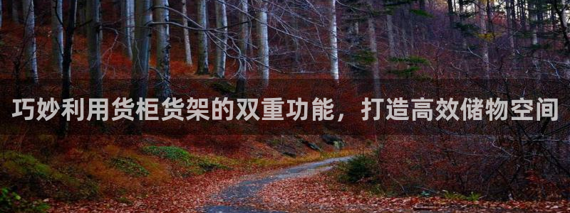 杏运平台代理