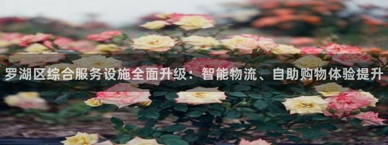杏运体育平台正规吗安全吗
