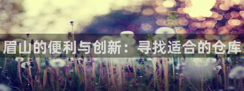 杏运汽车招商