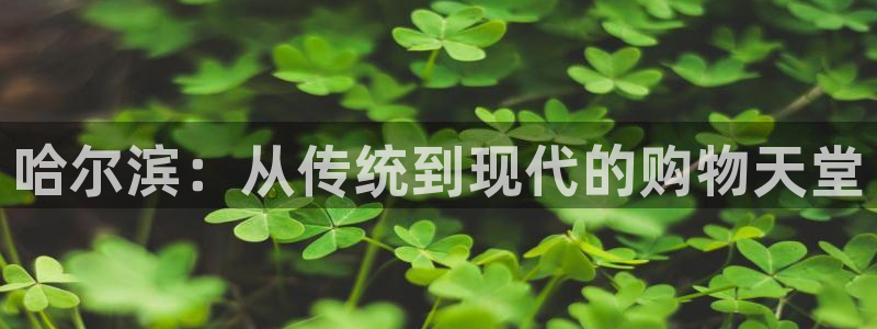 杏运登录