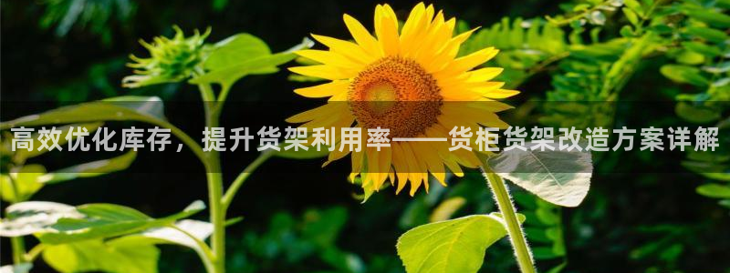 杏运体育网