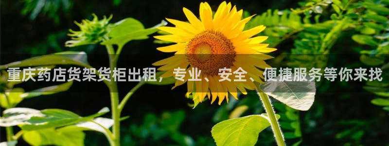 杏运注册