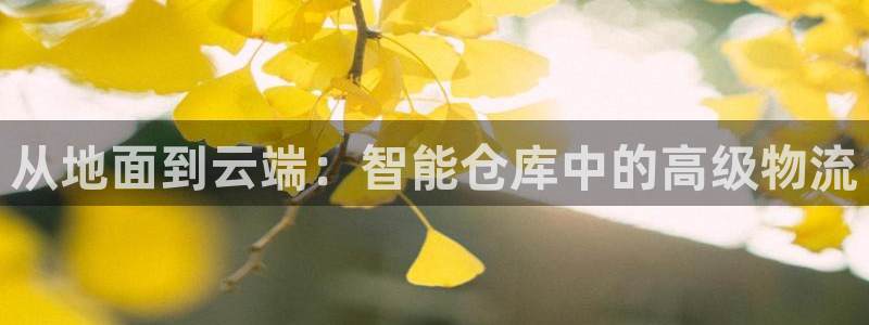 杏运平台登陆