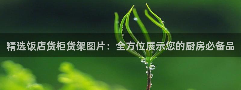 杏运体育平台