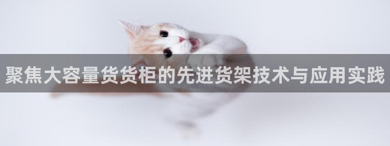 杏运平台官网：聚焦大容量货货柜的先进货架