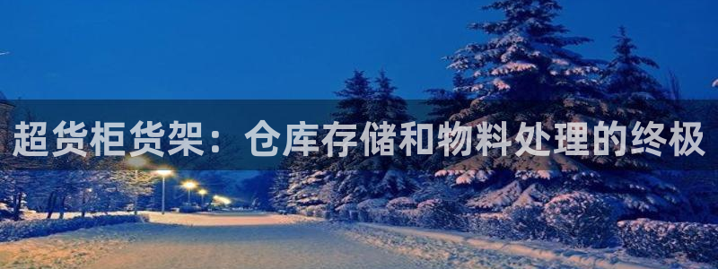 杏运代理：超货柜货架：仓库存储和物料处理