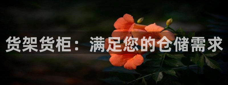 杏运平台招商：货架货柜：满足您的仓储需求