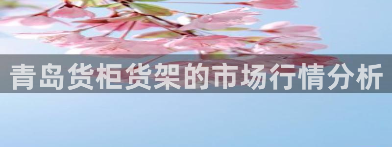 杏运体育app：青岛货柜货架的市场行情分