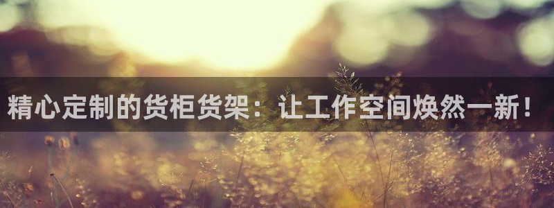 杏运平台官网：精心定制的货柜货架：让工作