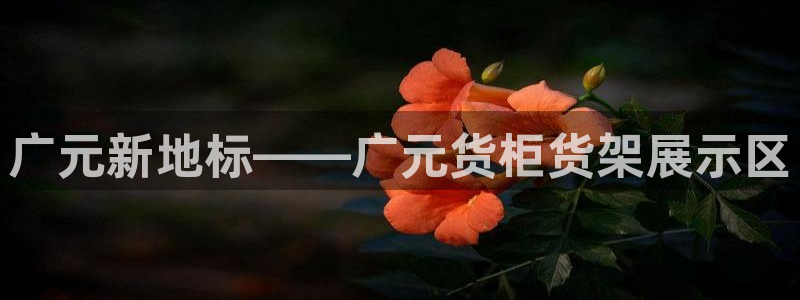 杏运汽车：广元新地标——广元货柜货架展示