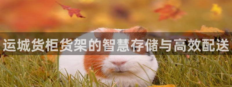 杏运体育官方网址登录