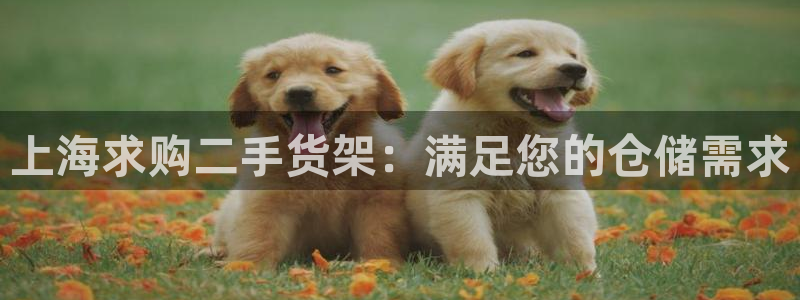 杏运体育平台正规吗安全吗